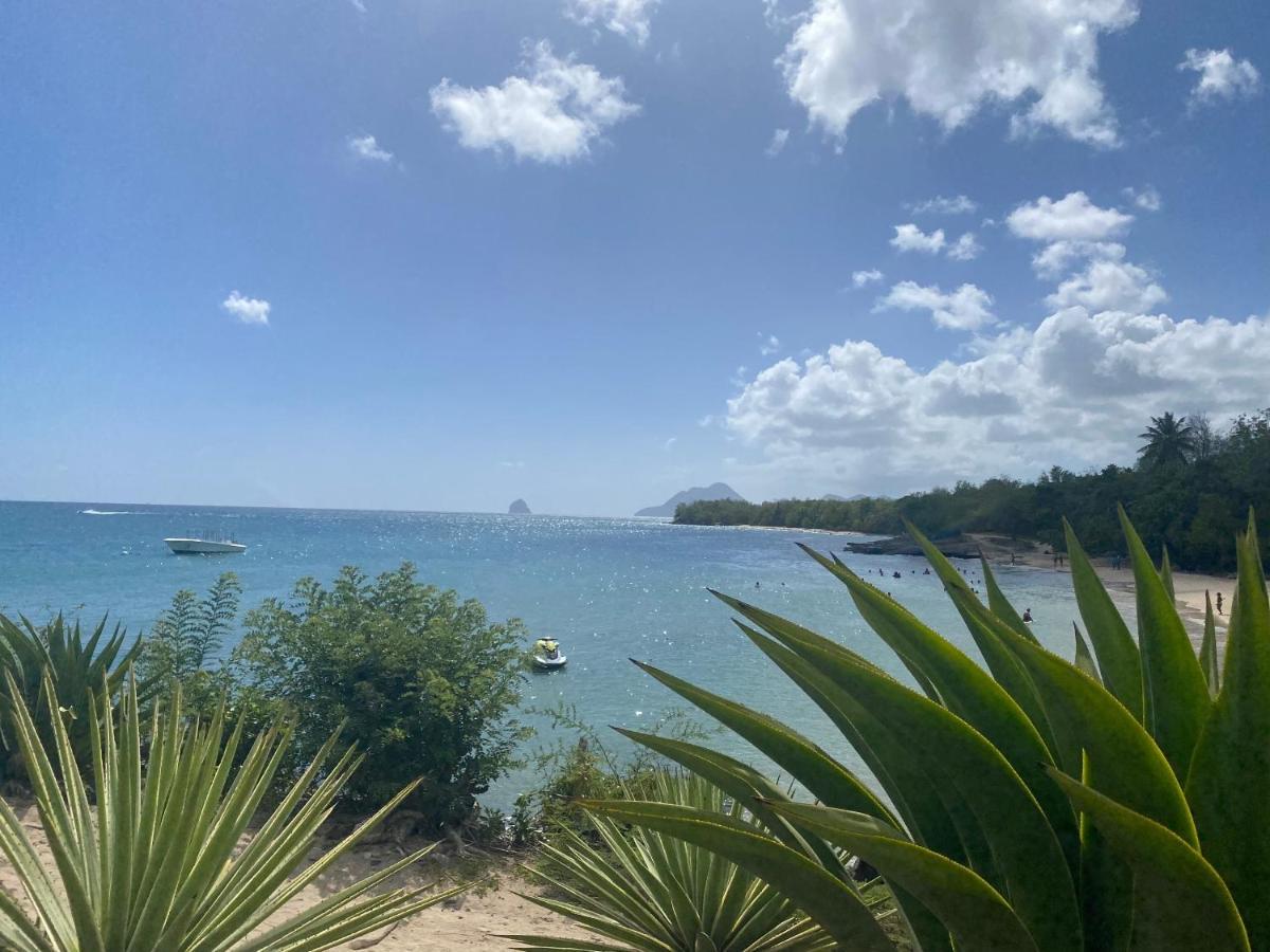 Studio Rdc La Desirade Martinique Acces Direct Plage サント・リュス エクステリア 写真