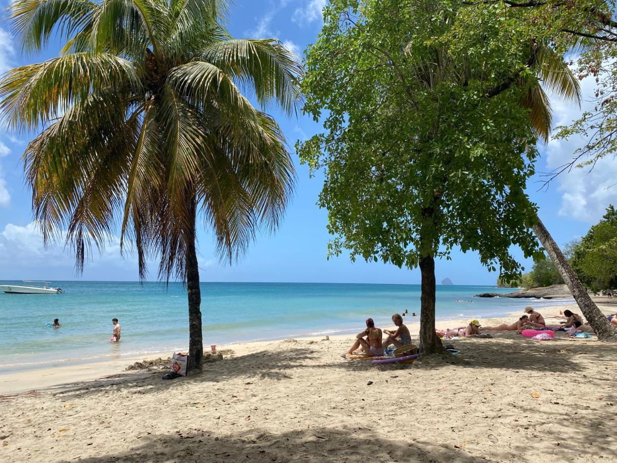 Studio Rdc La Desirade Martinique Acces Direct Plage サント・リュス エクステリア 写真