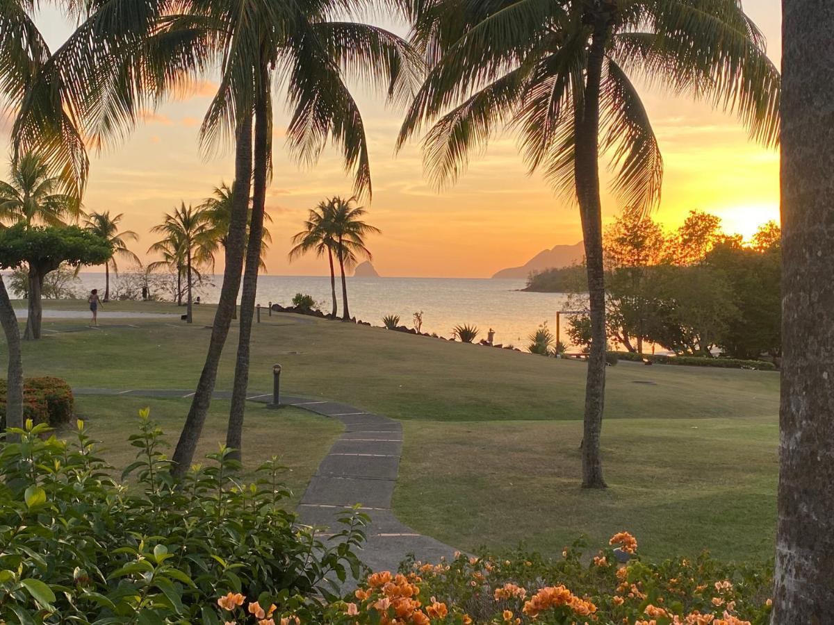 Studio Rdc La Desirade Martinique Acces Direct Plage サント・リュス エクステリア 写真